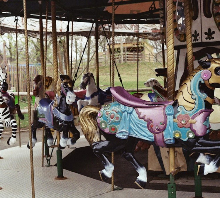 zoo-carousel-photo